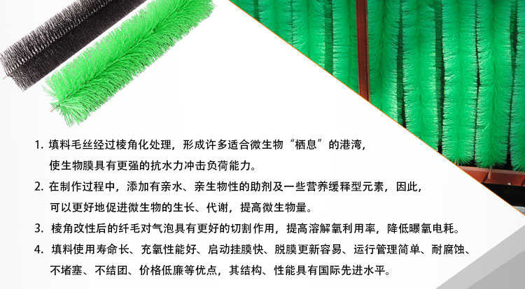 shiziguolvmaoshua (5)